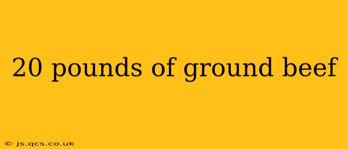 20 pounds of ground beef