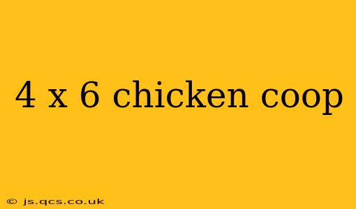 4 x 6 chicken coop