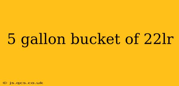 5 gallon bucket of 22lr