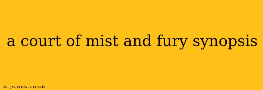 a court of mist and fury synopsis
