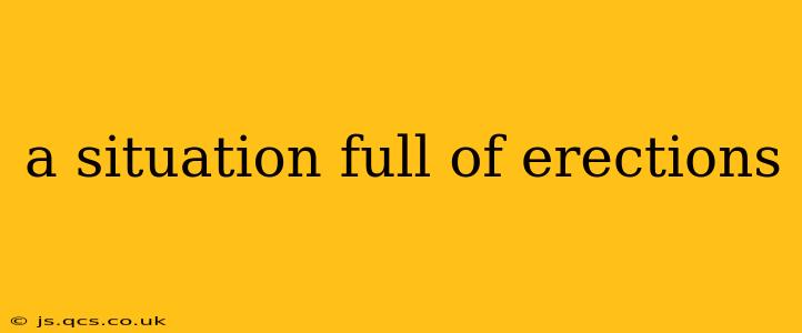 a situation full of erections a situation full of erections
