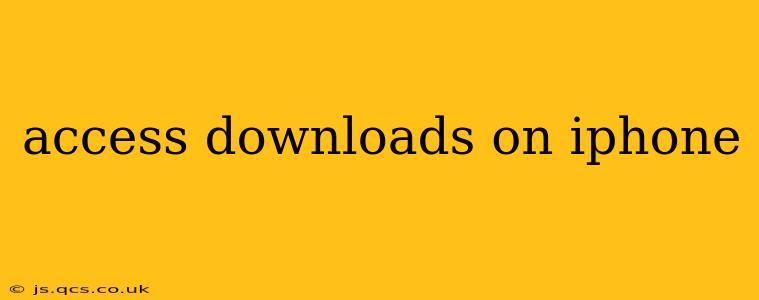 access downloads on iphone