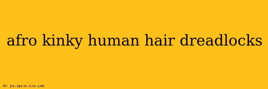 afro kinky human hair dreadlocks