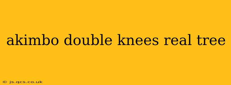 akimbo double knees real tree