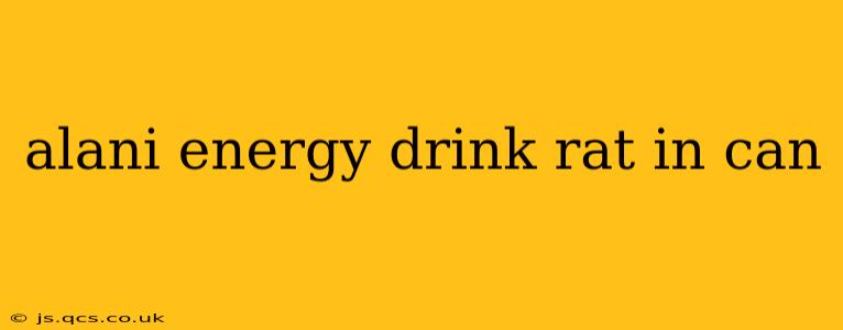 alani energy drink rat in can