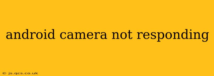 android camera not responding