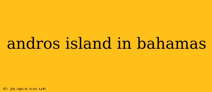 andros island in bahamas