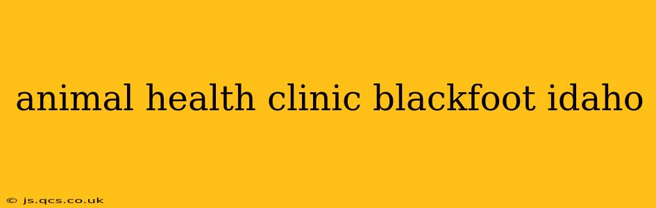 animal health clinic blackfoot idaho