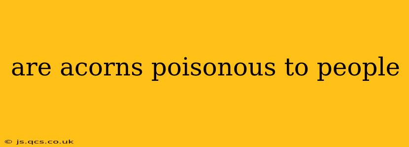 are acorns poisonous to people
