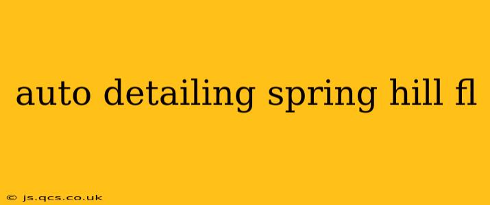 auto detailing spring hill fl