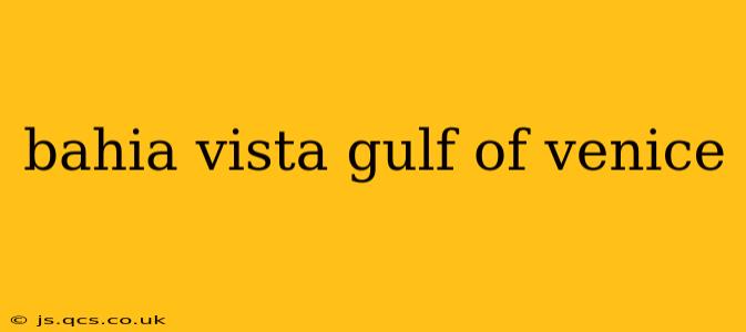 bahia vista gulf of venice