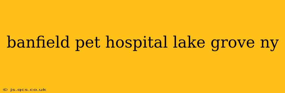 banfield pet hospital lake grove ny