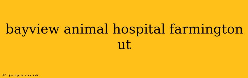 bayview animal hospital farmington ut