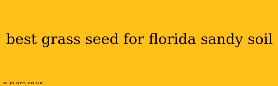best grass seed for florida sandy soil