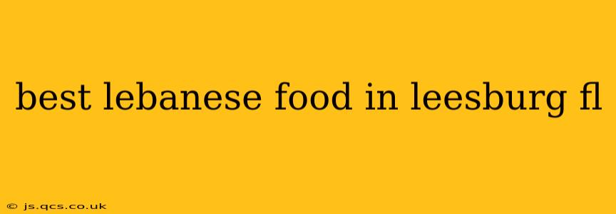 best lebanese food in leesburg fl