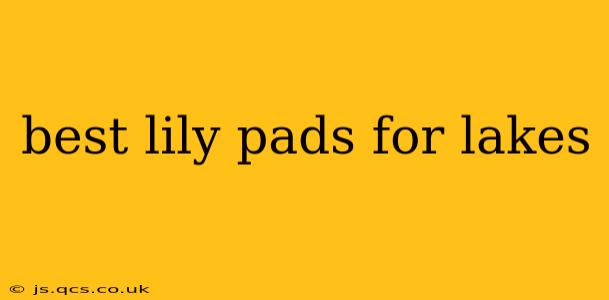 best lily pads for lakes