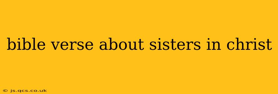 bible verse about sisters in christ