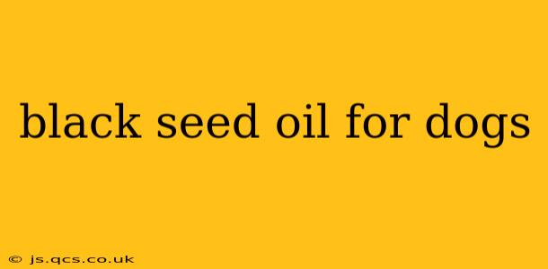 black seed oil for dogs