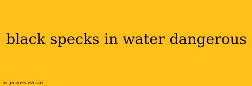 black specks in water dangerous