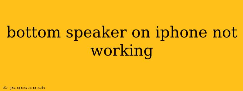 bottom speaker on iphone not working