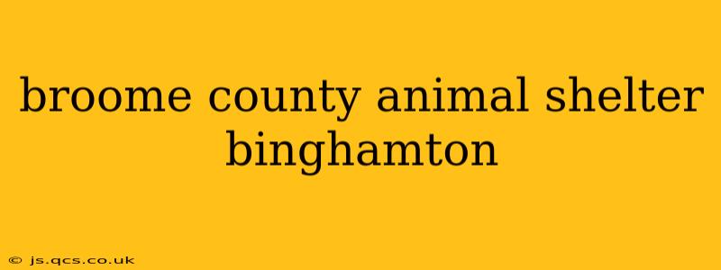 broome county animal shelter binghamton