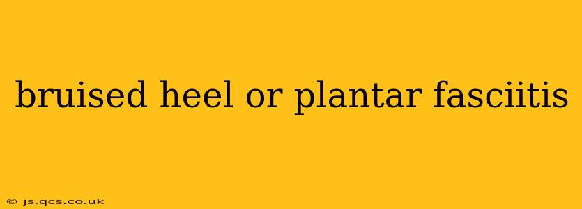 bruised heel or plantar fasciitis