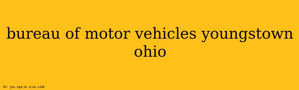 bureau of motor vehicles youngstown ohio