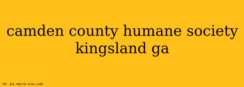 camden county humane society kingsland ga