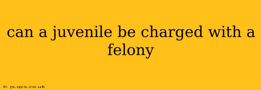 can a juvenile be charged with a felony