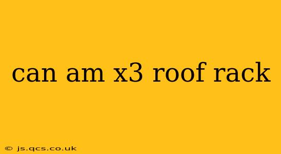 can am x3 roof rack