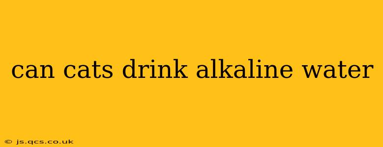 can cats drink alkaline water