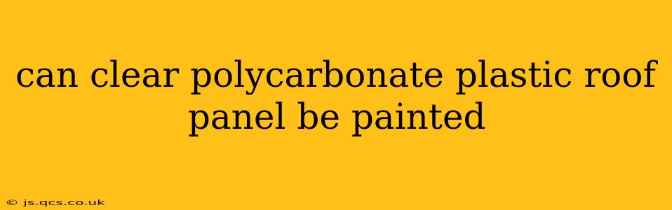 can clear polycarbonate plastic roof panel be painted