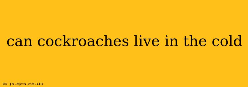can cockroaches live in the cold