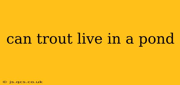 can trout live in a pond