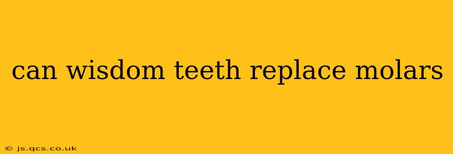 can wisdom teeth replace molars