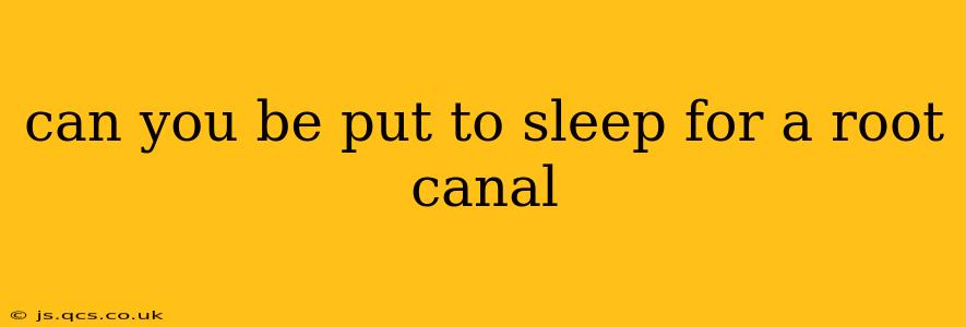 can you be put to sleep for a root canal