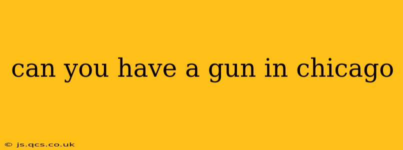 can you have a gun in chicago