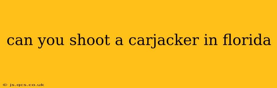 can you shoot a carjacker in florida