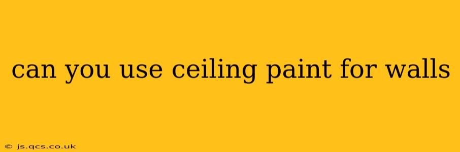 can you use ceiling paint for walls