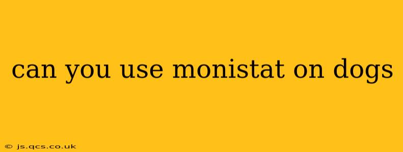 can you use monistat on dogs