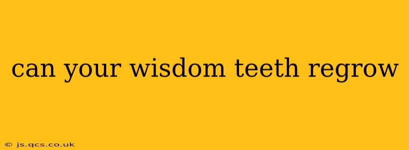 can your wisdom teeth regrow