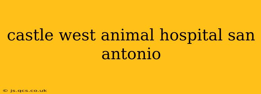 castle west animal hospital san antonio
