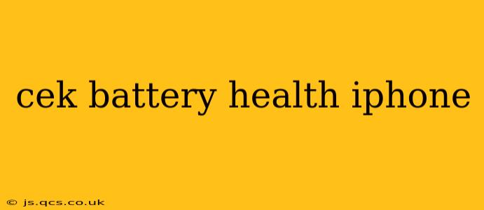 cek battery health iphone