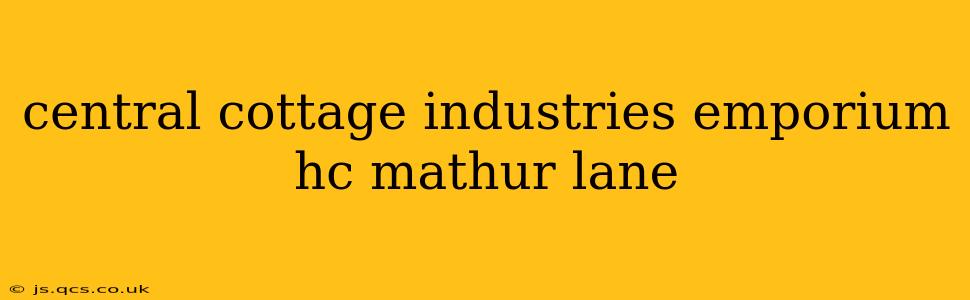 central cottage industries emporium hc mathur lane
