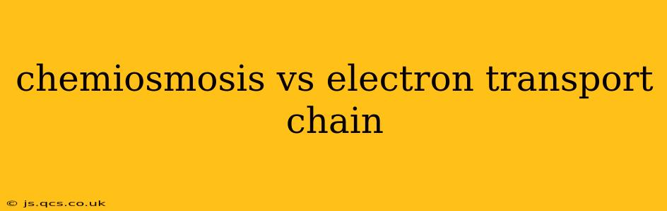 chemiosmosis vs electron transport chain