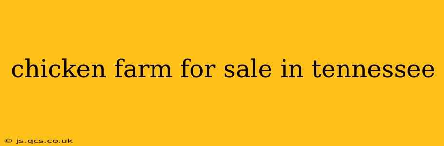 chicken farm for sale in tennessee