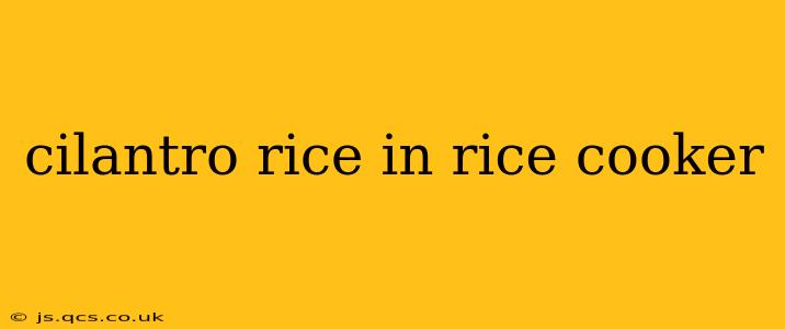 cilantro rice in rice cooker