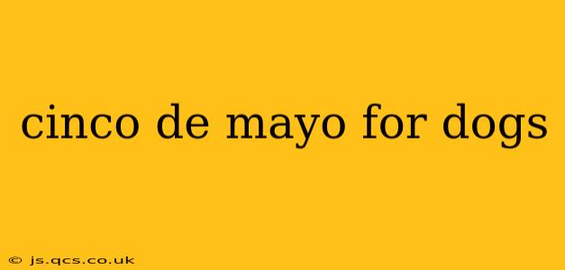 cinco de mayo for dogs