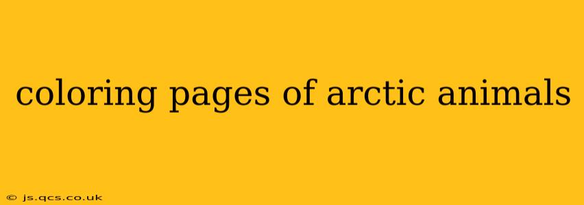coloring pages of arctic animals