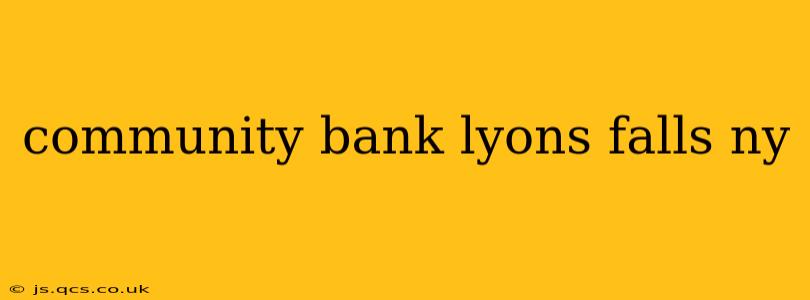 community bank lyons falls ny